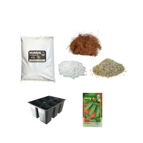 Kit de germinación - Exclusivo para SCYF Cultiva