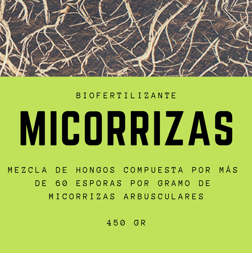 Micorrizas Biofertilizante 450 gr