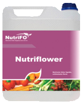 Nutriflower