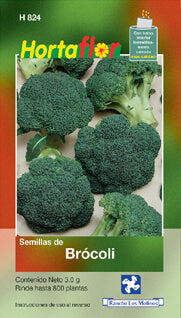 Semillas brócoli