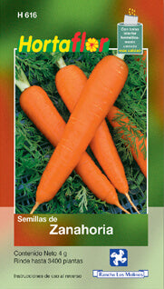 Semillas zanahoria